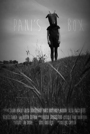 Pani's Box's poster