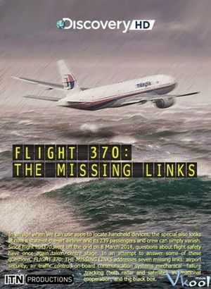 Flight 370: The Missing Links's poster