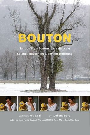 Bouton's poster
