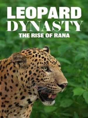 Leopard Dynasty-The Rise of Rana's poster