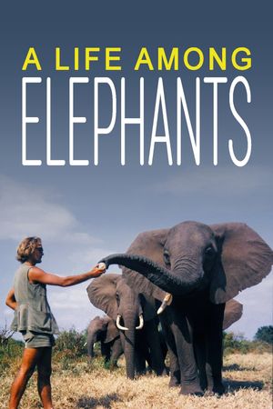A Life Among Elephants's poster