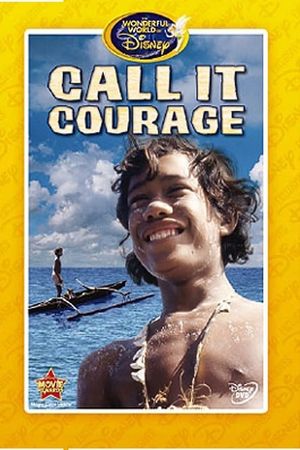 Call it Courage's poster