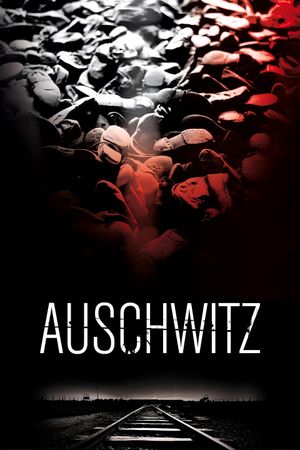 Auschwitz's poster