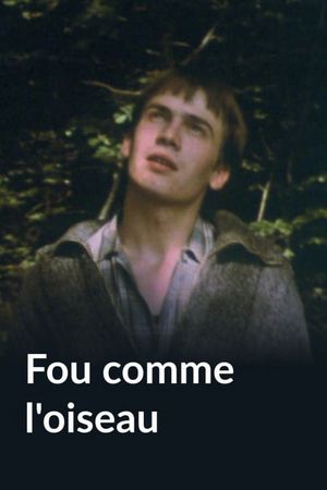Fou comme l'oiseau's poster