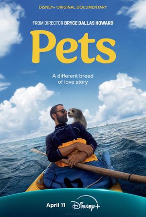 Pets's poster