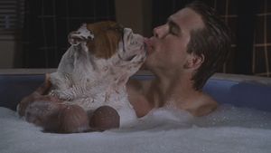 Van Wilder's poster