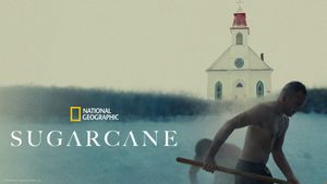 Sugarcane's poster