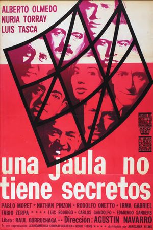 Una jaula no tiene secretos's poster