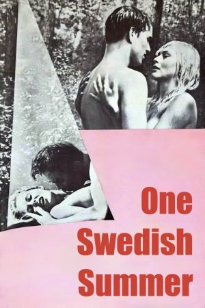 One Swedish Summer's poster