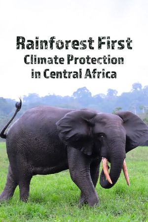 Rainforest First: Climate Protection in Central Africa's poster