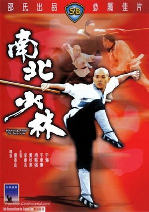 Martial Arts of Shaolin's poster