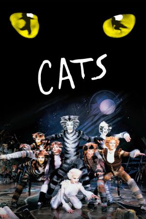 Cats's poster