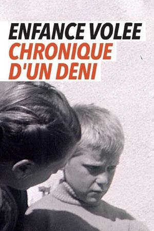 Enfance volée - chronique d'un déni's poster image