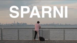 Sparni's poster