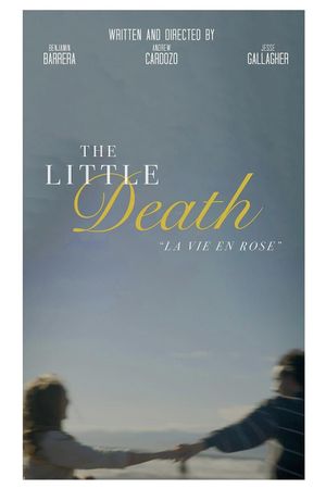 The Little Death's poster