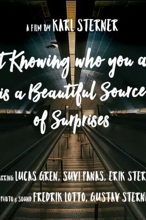 Not Knowing Who You Are Is a Beautiful Source of Surprises's poster
