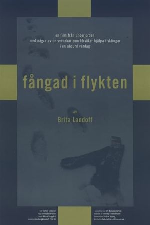 Fångad i flykten's poster image