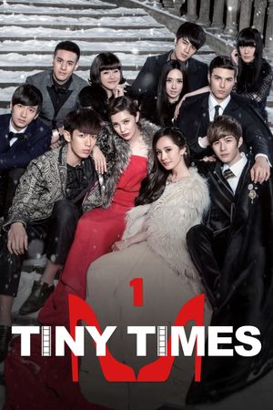 Tiny Times's poster