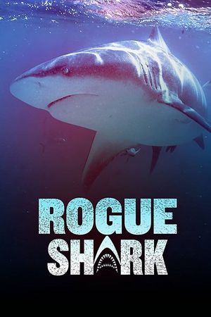 Rogue Shark?'s poster