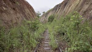 Congo-Océan, un chemin de fer et de sang's poster