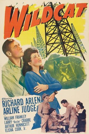 Wildcat's poster
