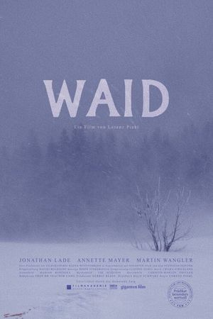 Waid's poster image