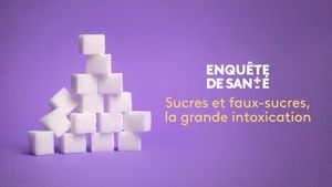Sucres, la grande intoxication's poster