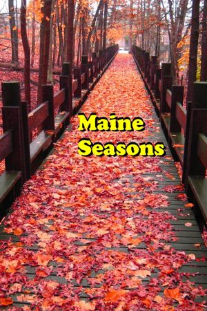 Maine Seasons's poster