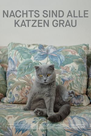 All Cats Are Grey in the Dark's poster
