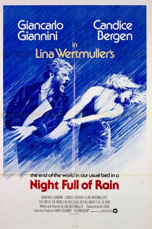 A Night Full of Rain's poster