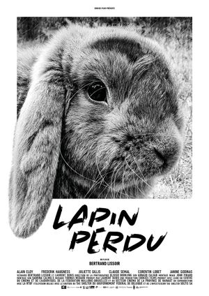 Lost Rabbit's poster
