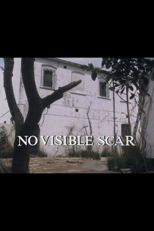No Visible Scar's poster