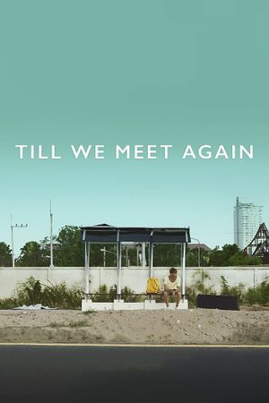 Till We Meet Again's poster