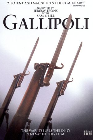 Gallipoli's poster
