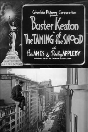The Taming of the Snood's poster