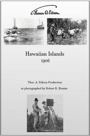 Hawaiian Islands's poster