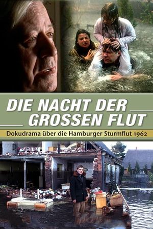 Die Nacht der großen Flut's poster