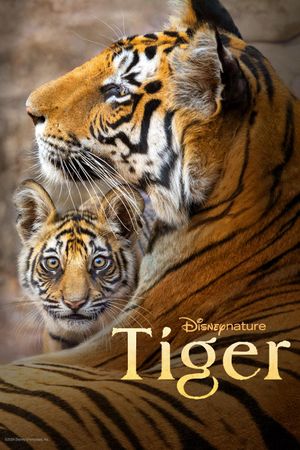 Tiger's poster