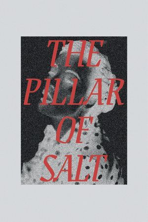 The Pillar of Salt's poster