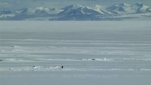 Encounters at the End of the World's poster