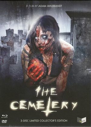 The Cemetery's poster