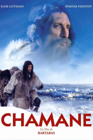 Shaman's poster