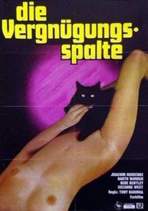 Die Vergnügungsspalte's poster