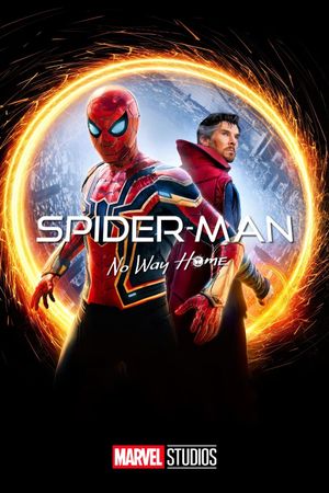 Spider-Man: No Way Home's poster