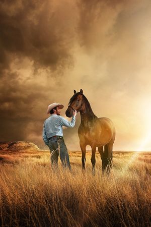The Rider's poster