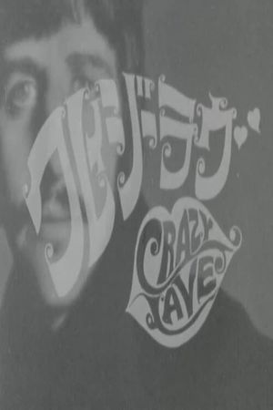 Crazy Love's poster