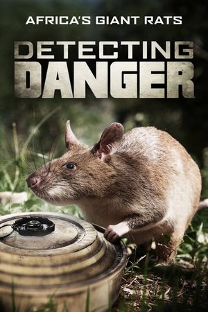 Detecting Danger: Africa's Giant Rats's poster