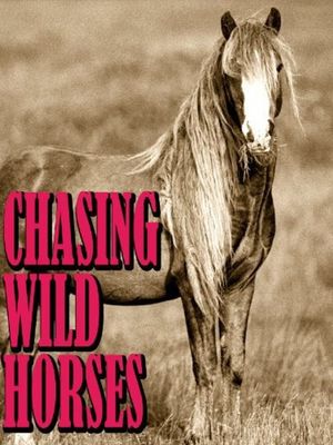 Chasing Wild Horses's poster