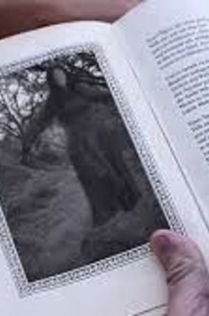 Woman in the Book's poster