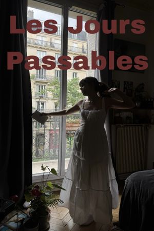 Les jours passables's poster